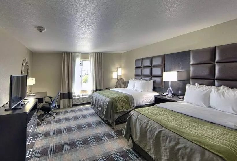ホテル Comfort Inn & Suites, White Settlement Fort Worth West, Tx