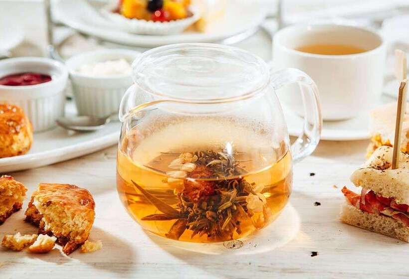 فندق Discovery Primea