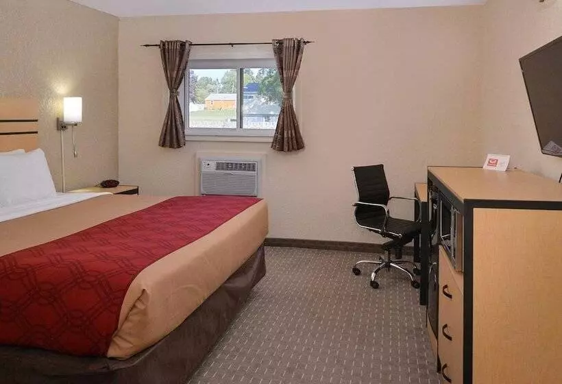 ホテル Econo Lodge Rochester I 90 & I 390