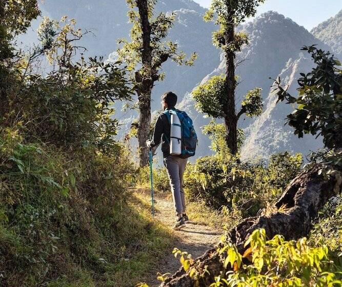 ホテル Jw Marriott Mussoorie Walnut Grove Resort & Spa