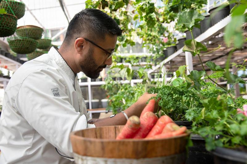 ホテル Jw Marriott Mussoorie Walnut Grove Resort & Spa