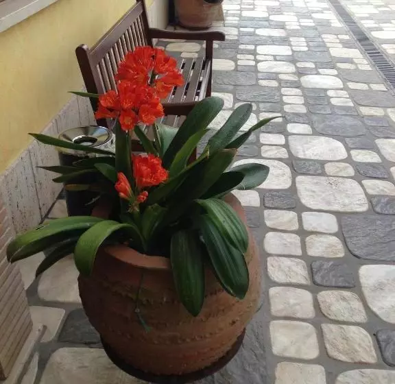 ホテル La Locanda Del Cavaliere