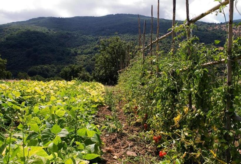 בית מלון כפרי Masseria Rocca Di Gonato