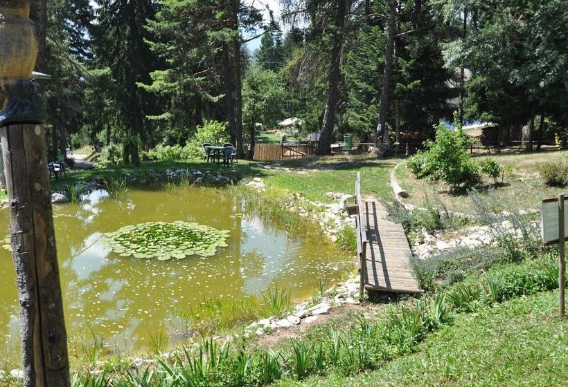 فندق Rifugio Sores