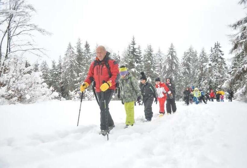 فندق Rifugio Sores