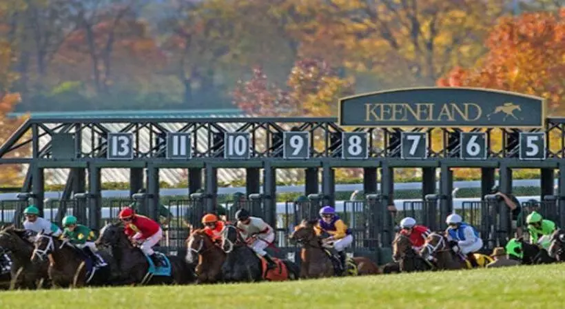 酒店 Staybridge Suites Lexington, An Ihg