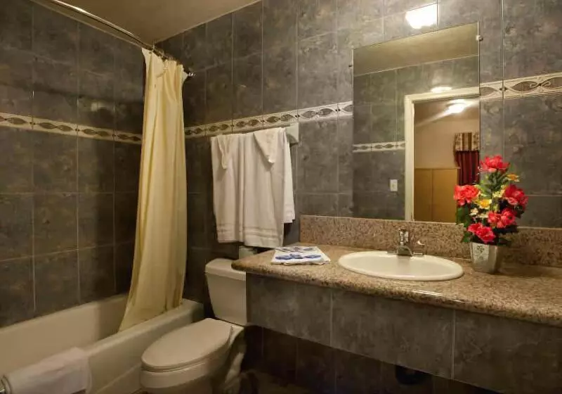 مُتل The Palace Inn