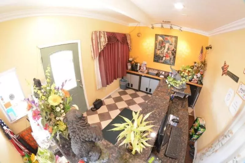 مُتل The Palace Inn