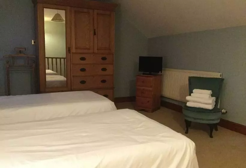 Pensjonat Llwyn Country House