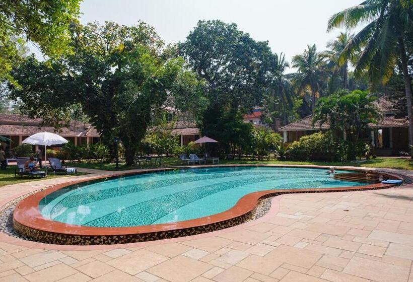 Granpa S Inn Hotel Bougainvillea