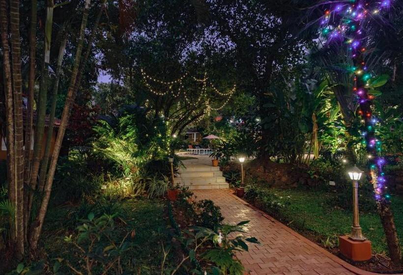 Granpa S Inn Hotel Bougainvillea