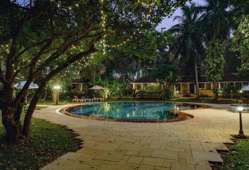 Granpa S Inn Hotel Bougainvillea