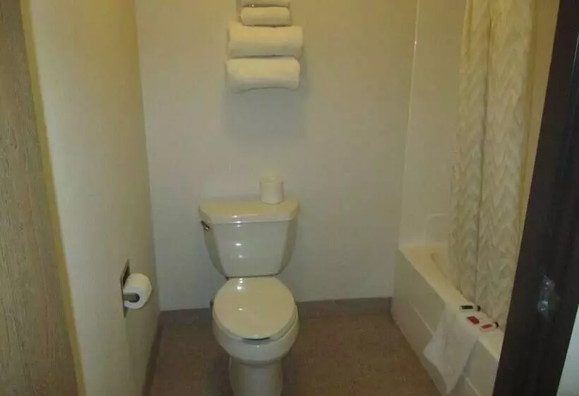 酒店 Park View Inn & Suites And Conference Center