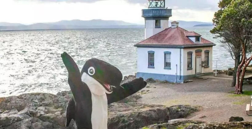 מוטל The Orca Inn