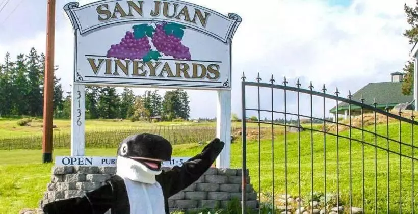 מוטל The Orca Inn