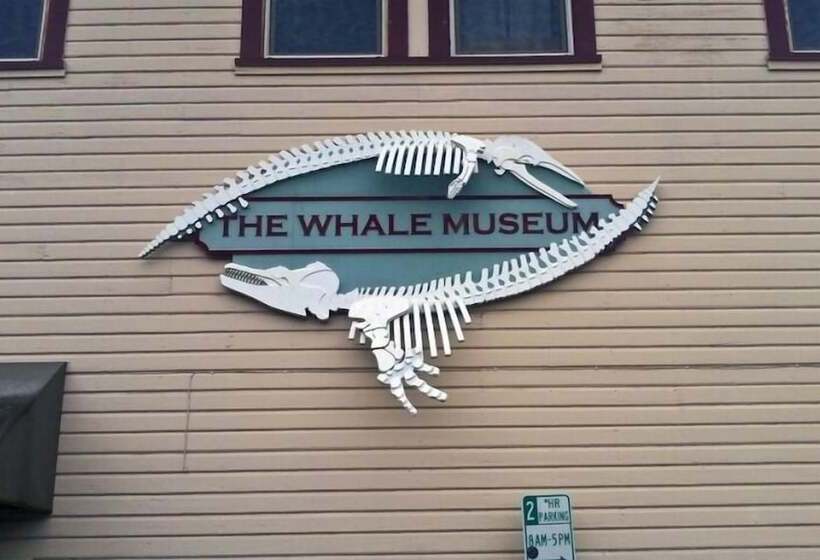 汽车旅馆  The Orca Inn