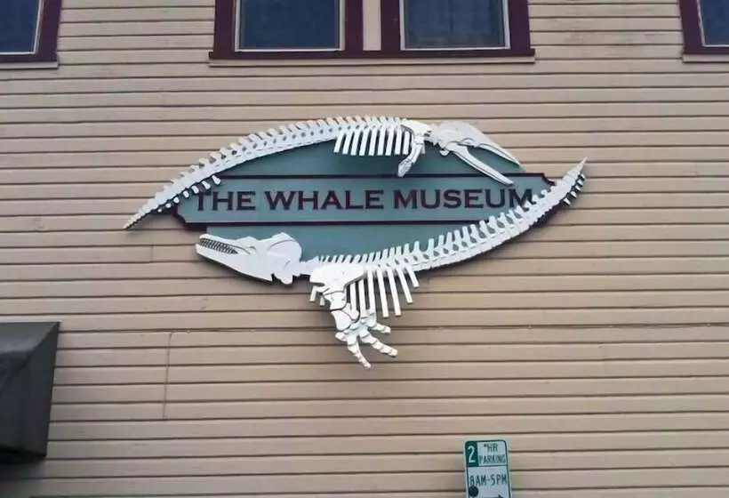 מוטל The Orca Inn