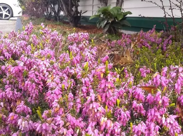 מוטל The Orca Inn