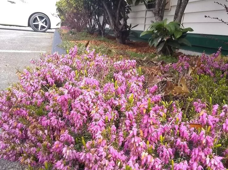 מוטל The Orca Inn