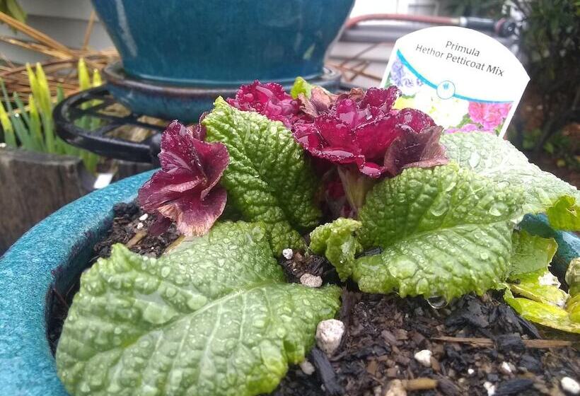 汽车旅馆  The Orca Inn