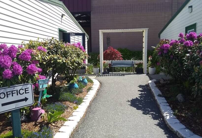 汽车旅馆  The Orca Inn