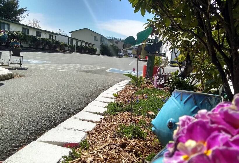 汽车旅馆  The Orca Inn