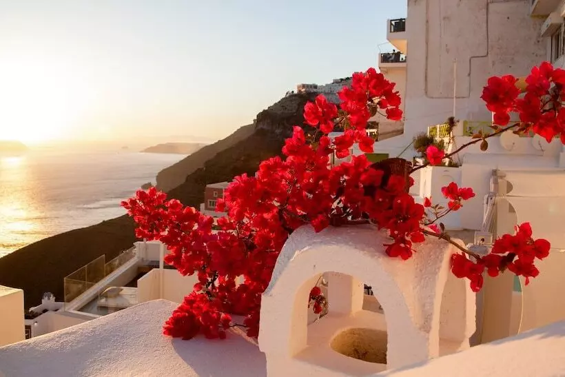 Pensió Asha Luxury Suites