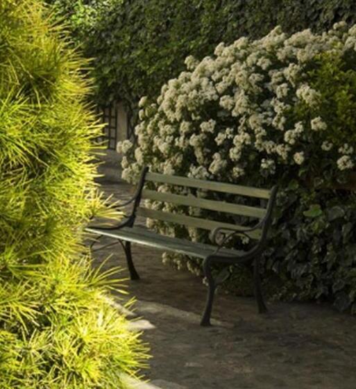 Résidence Chlorophylle