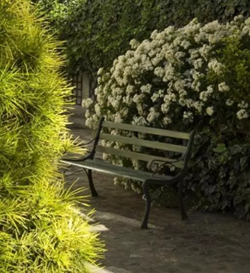 Résidence Chlorophylle