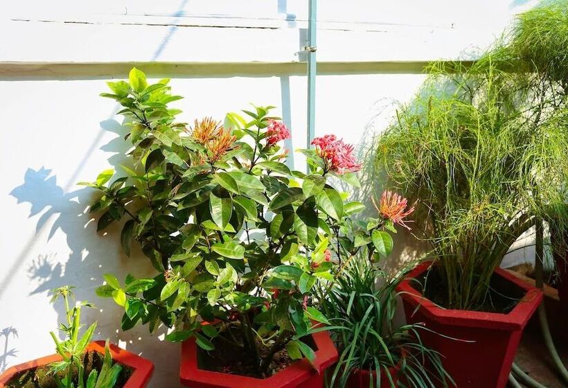 مبيت وإفطار Honolulu Home