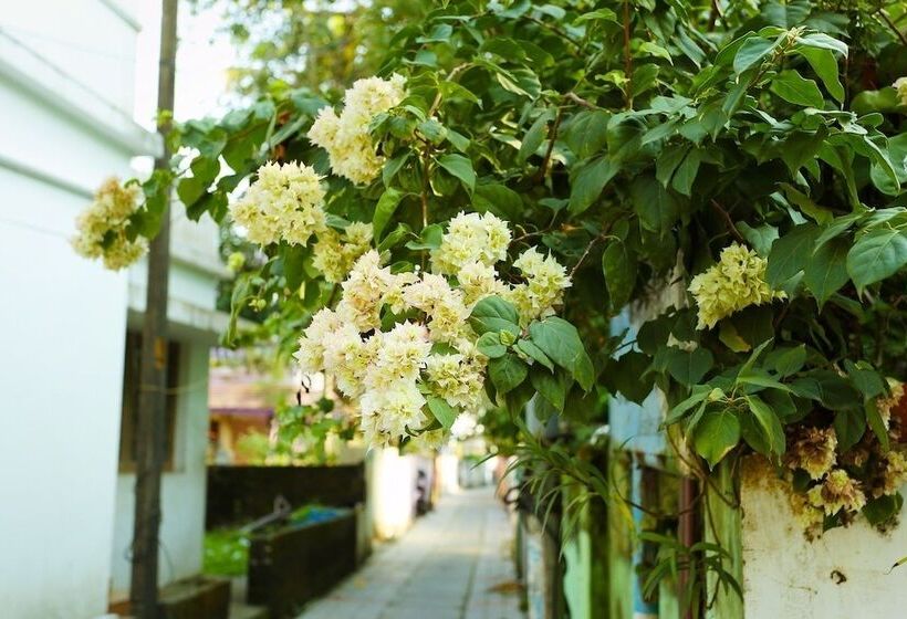 مبيت وإفطار Honolulu Home