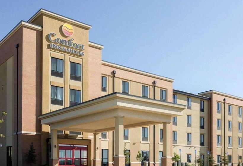 בית מלון כפרי Comfort Inn & Suites