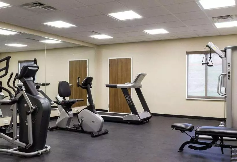 Отель Comfort Inn & Suites