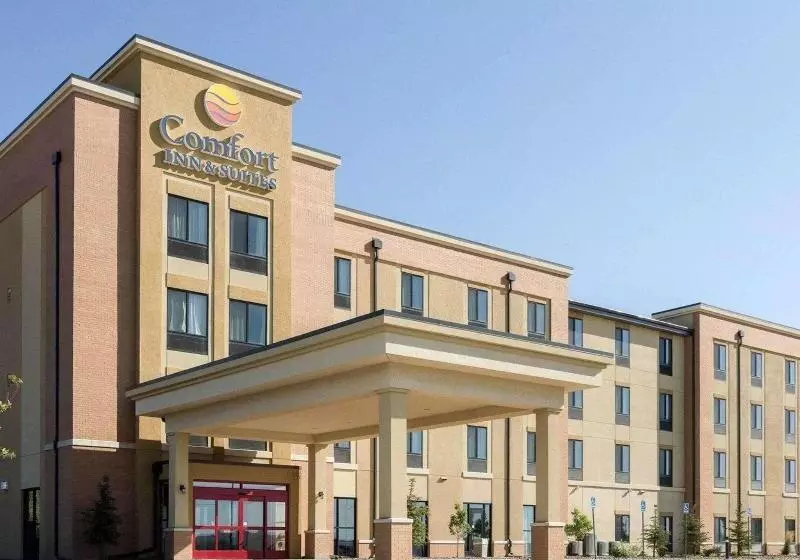 Отель Comfort Inn & Suites