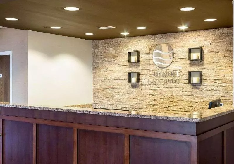 Отель Comfort Inn & Suites