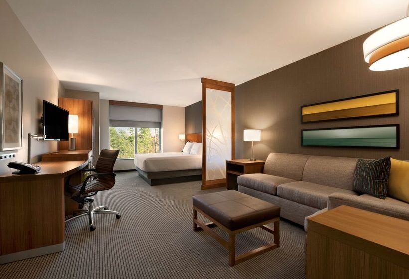 酒店 Hyatt Place Houston/the Woodlands