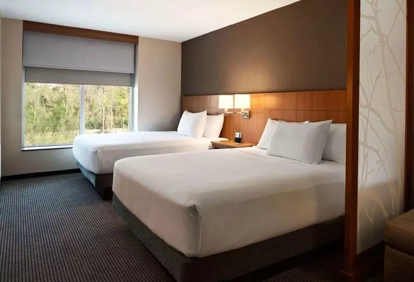 酒店 Hyatt Place Houston/the Woodlands