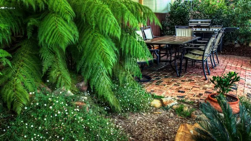 Мотель Kookaburra Motor Lodge