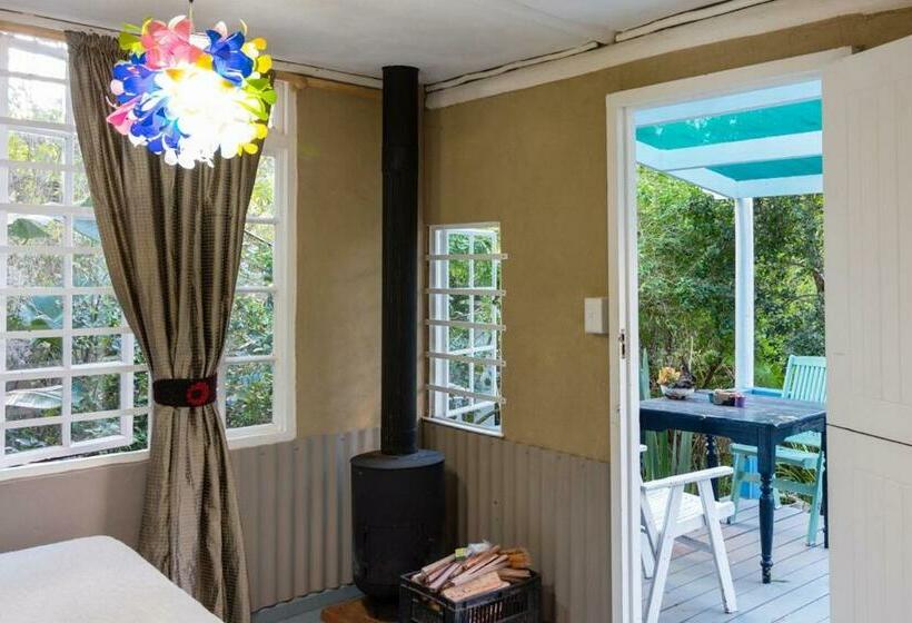 פנסיון Bamboo, The Guesthouse