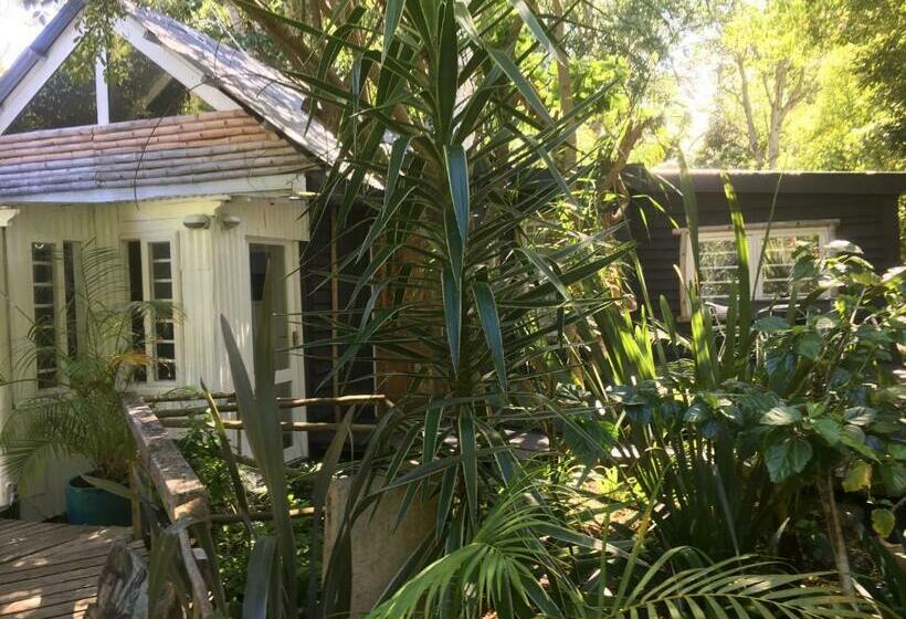 פנסיון Bamboo, The Guesthouse