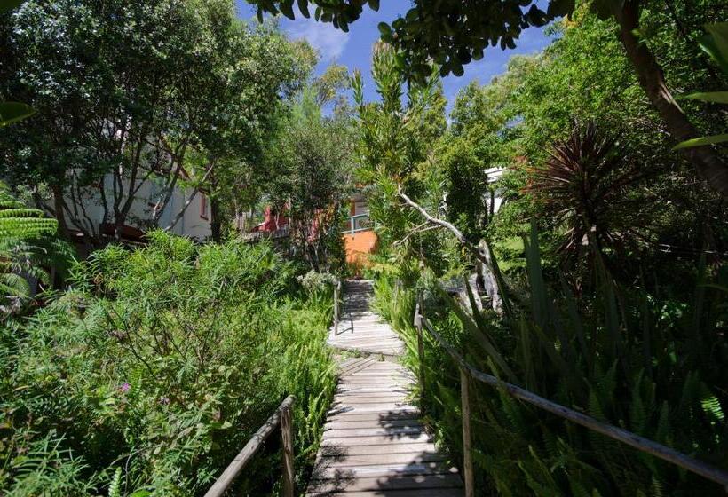 פנסיון Bamboo, The Guesthouse