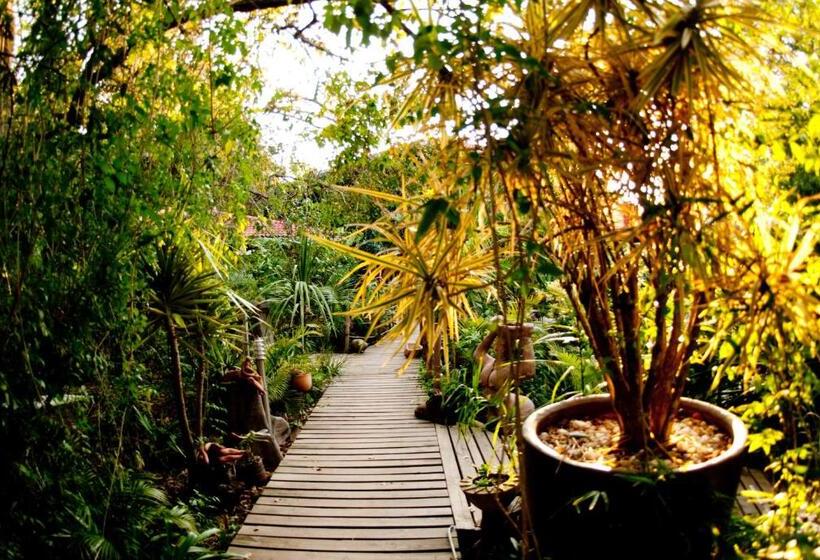 פנסיון Bamboo, The Guesthouse