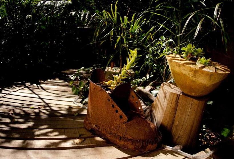 פנסיון Bamboo, The Guesthouse