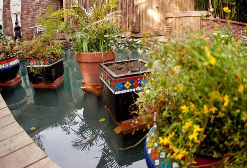 פנסיון Bamboo, The Guesthouse