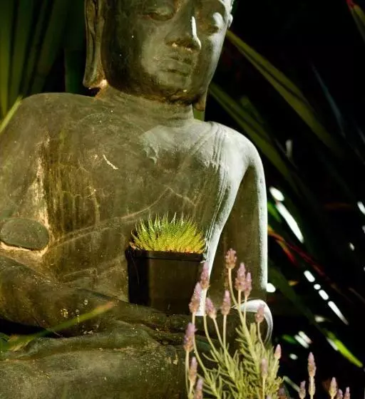 膳宿费 Bamboo, The Guesthouse