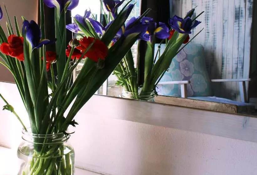 פנסיון Bluebottle Guest House