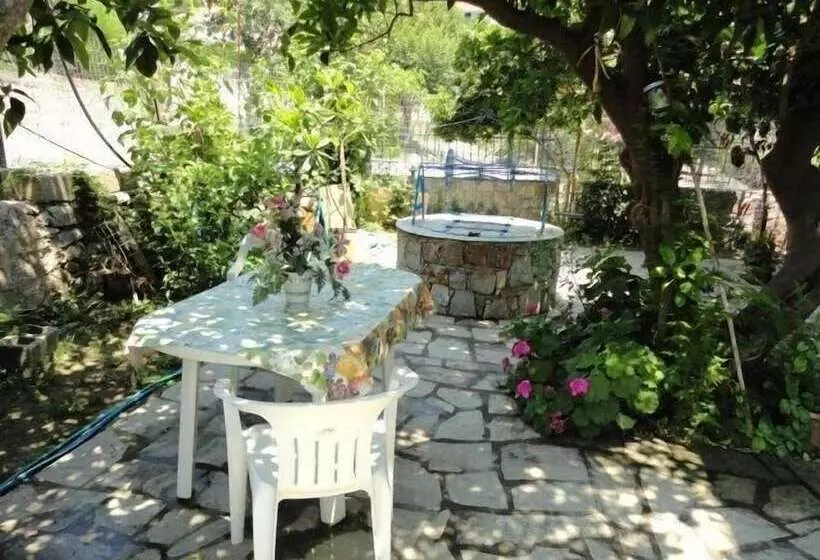 Smile Stella Studios