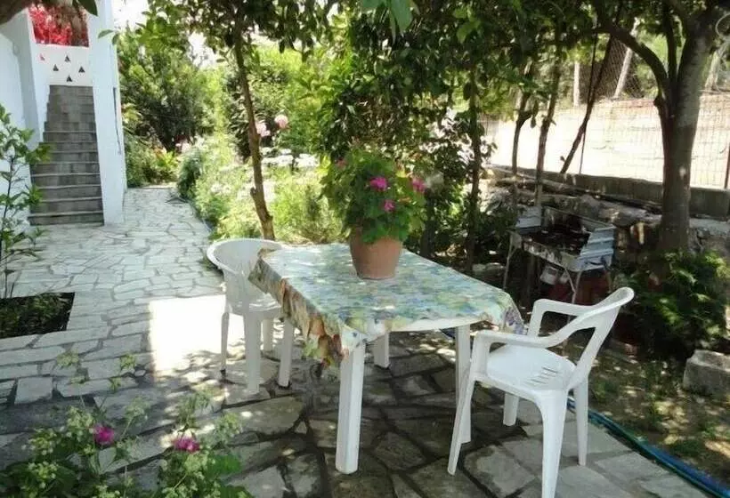 Smile Stella Studios