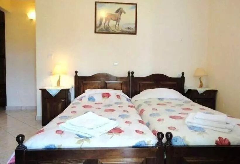 Smile Stella Studios