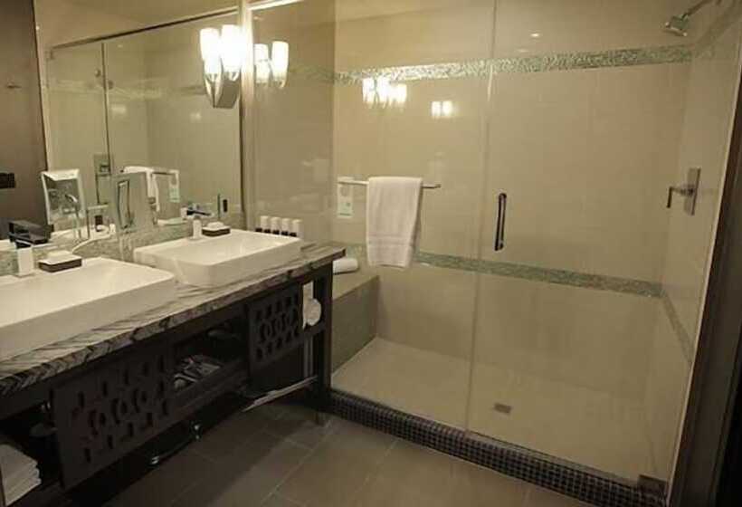 リゾートホテル Viejas Casino & Willows